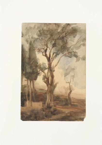 Etude d'arbres