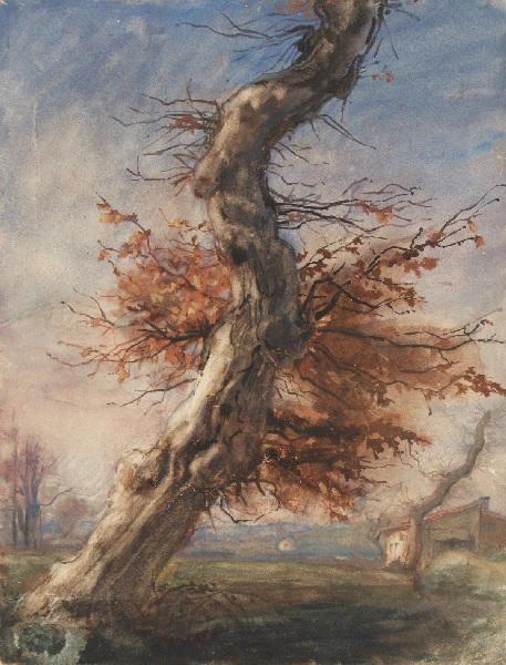 Paysage au vieux chêne