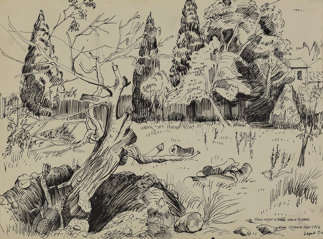 Vieux noyer abattu dans le parc