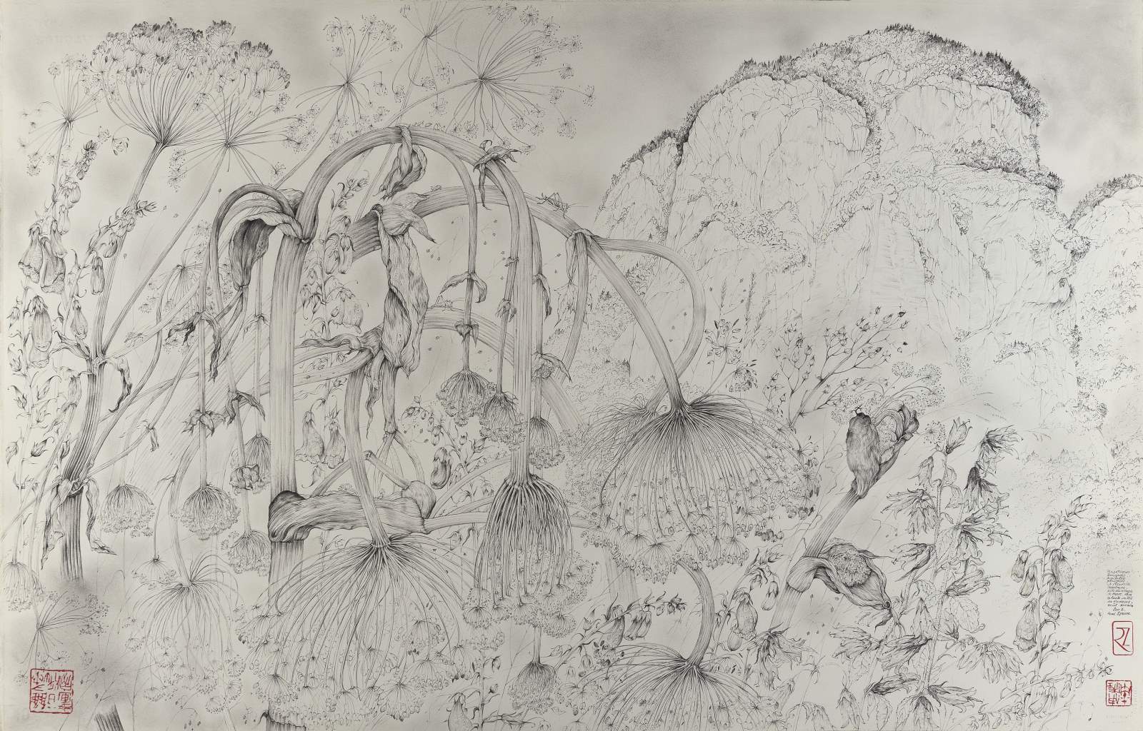 Angéliques sauvages, digitales pourpres et fleurs de montagne, prés du village de Marc dans la haute vallée de Vicdessos