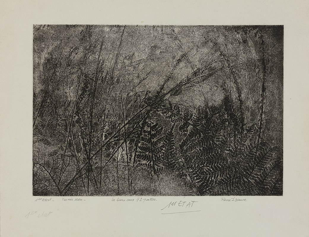 Aprés la pluie, la lune aux 72 pattes