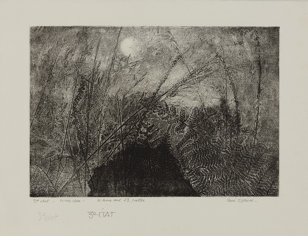 Aprés la pluie, la lune aux 72 pattes