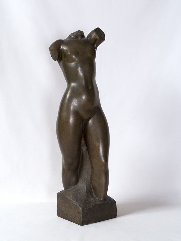 Torse de femme