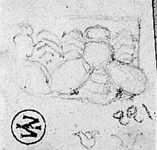 Abeille et ornement de la bordure du manteau