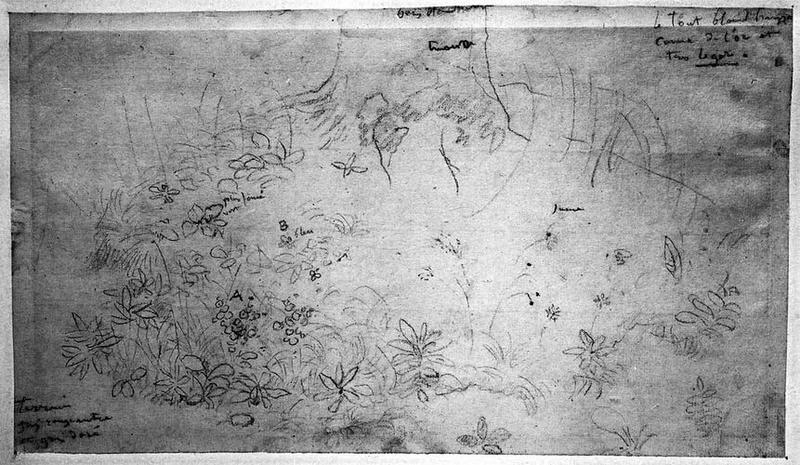 Etude de fleurs et de feuilles