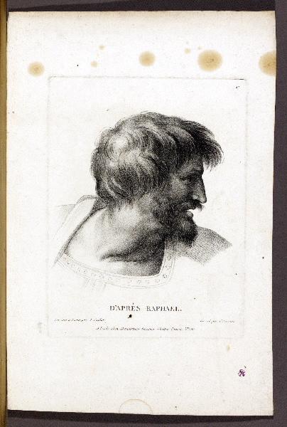 D'après Raphael