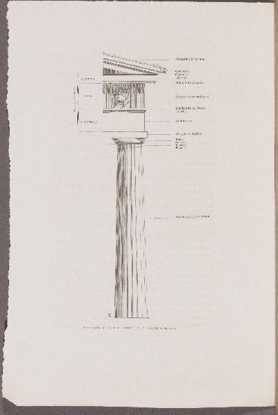 Grammaire des Arts du Dessin ; Gazette des Beaux-Arts