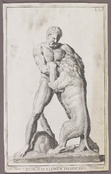 Hercules leonem suffocans