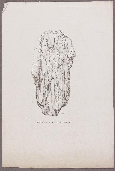 Gazette des Beaux-Arts