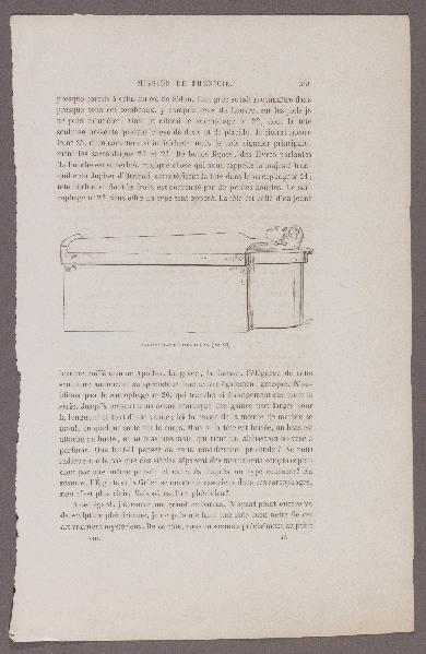 Gazette des Beaux-Arts ; Mission de Phénicie ; Sarcophage Phénicien (N°23)