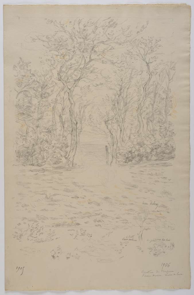 Rentrée de troupeau Ferme Masson, lever de lune
