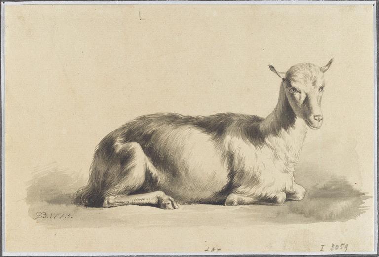 Chèvre