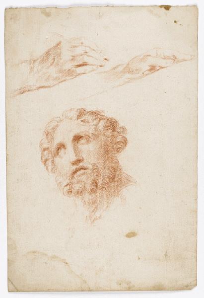 Etude de tête barbue et deux études de main, (l'une tenant une plume ?)