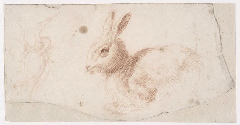 Etude de trois-quarts d'un lapin de profil à gauche et esquisse d'oiseau (grue ?)