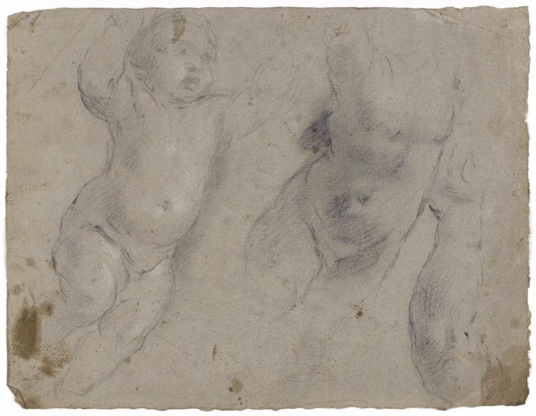 Etude d'enfant nu, de bras