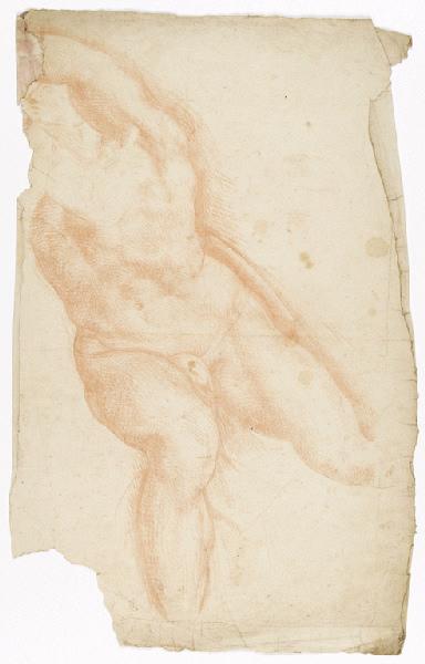 Etude de torse d'homme