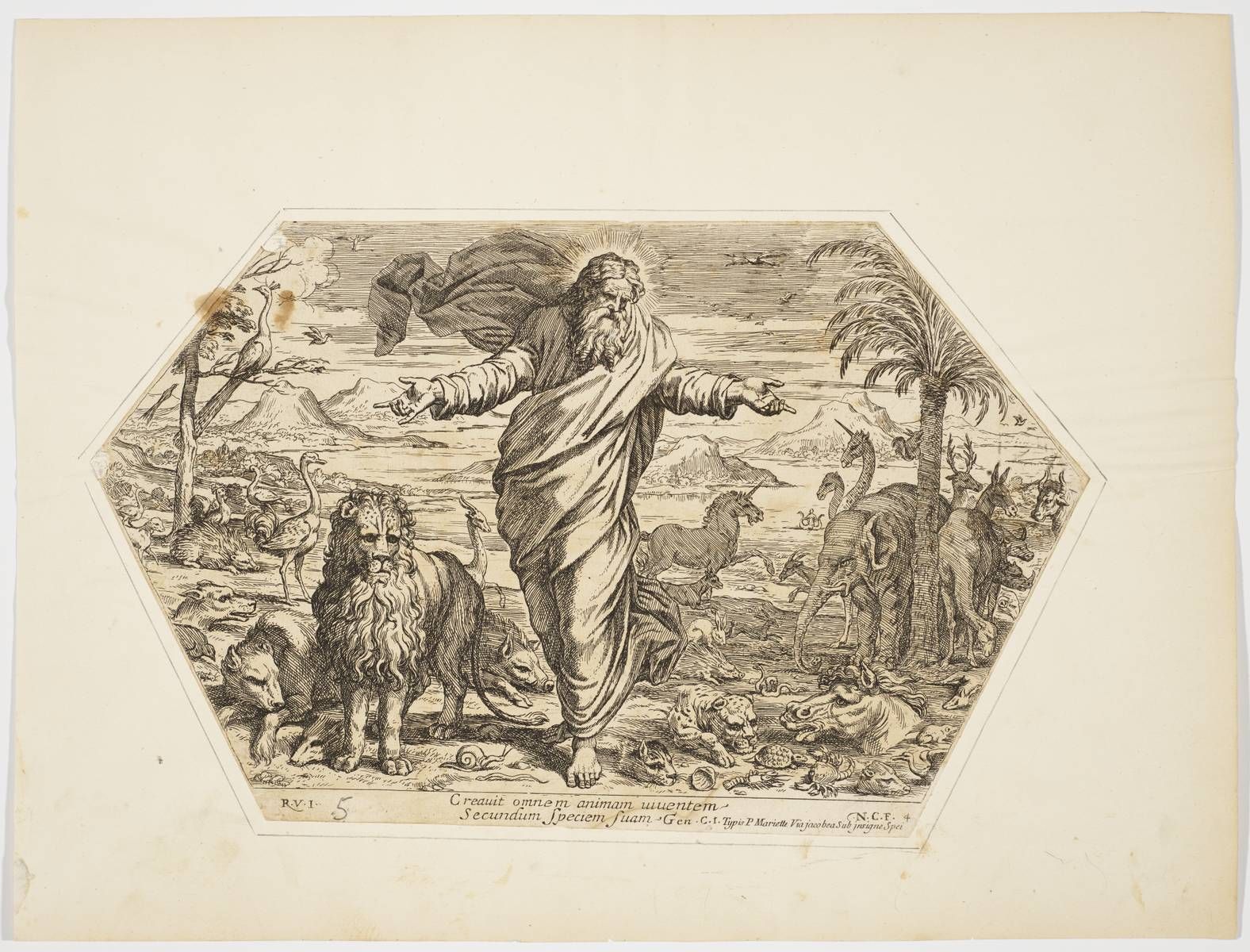 Création des animaux