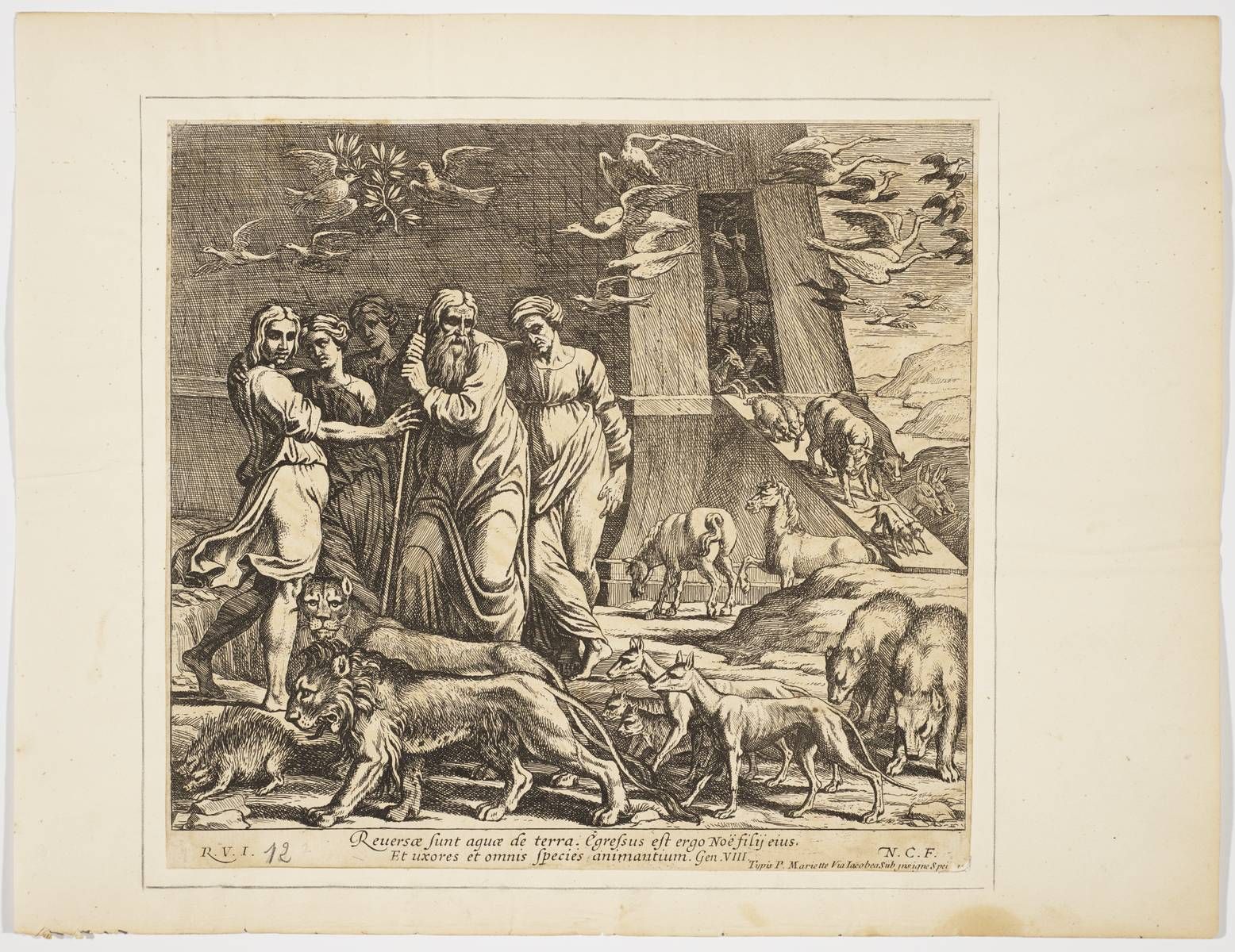 La sortie de l'Arche