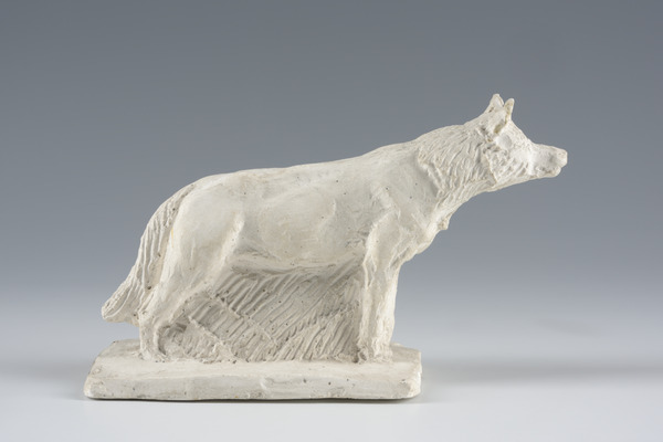 Loup aux aguets