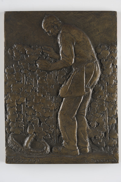 Accolage vigneron ; Lieu de vigne (Autre titre)