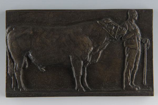 Présentation du taureau