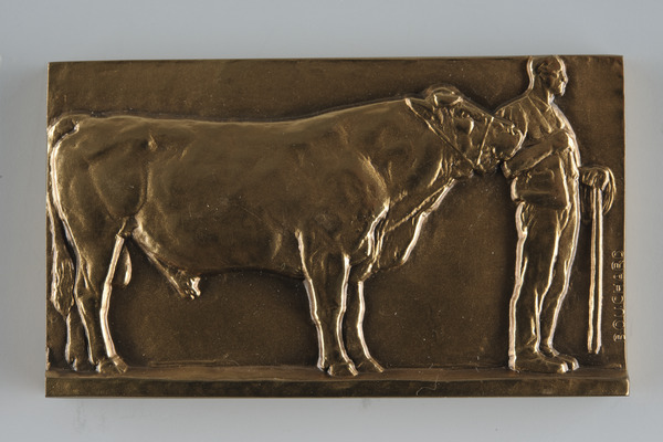 Présentation du taureau