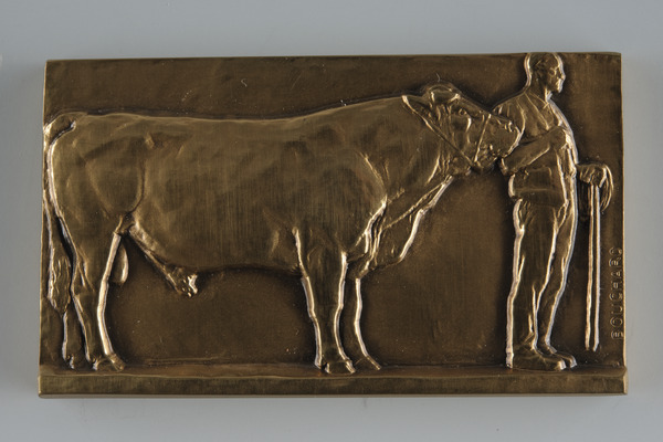 Présentation du taureau