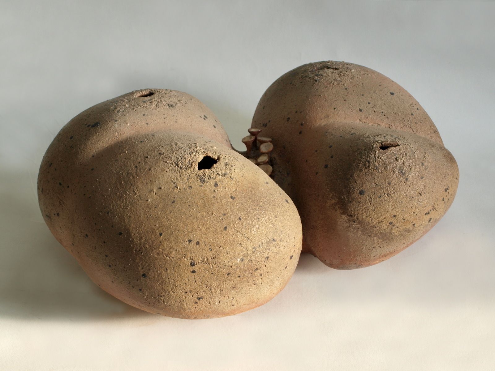 Paysage pour une forêt