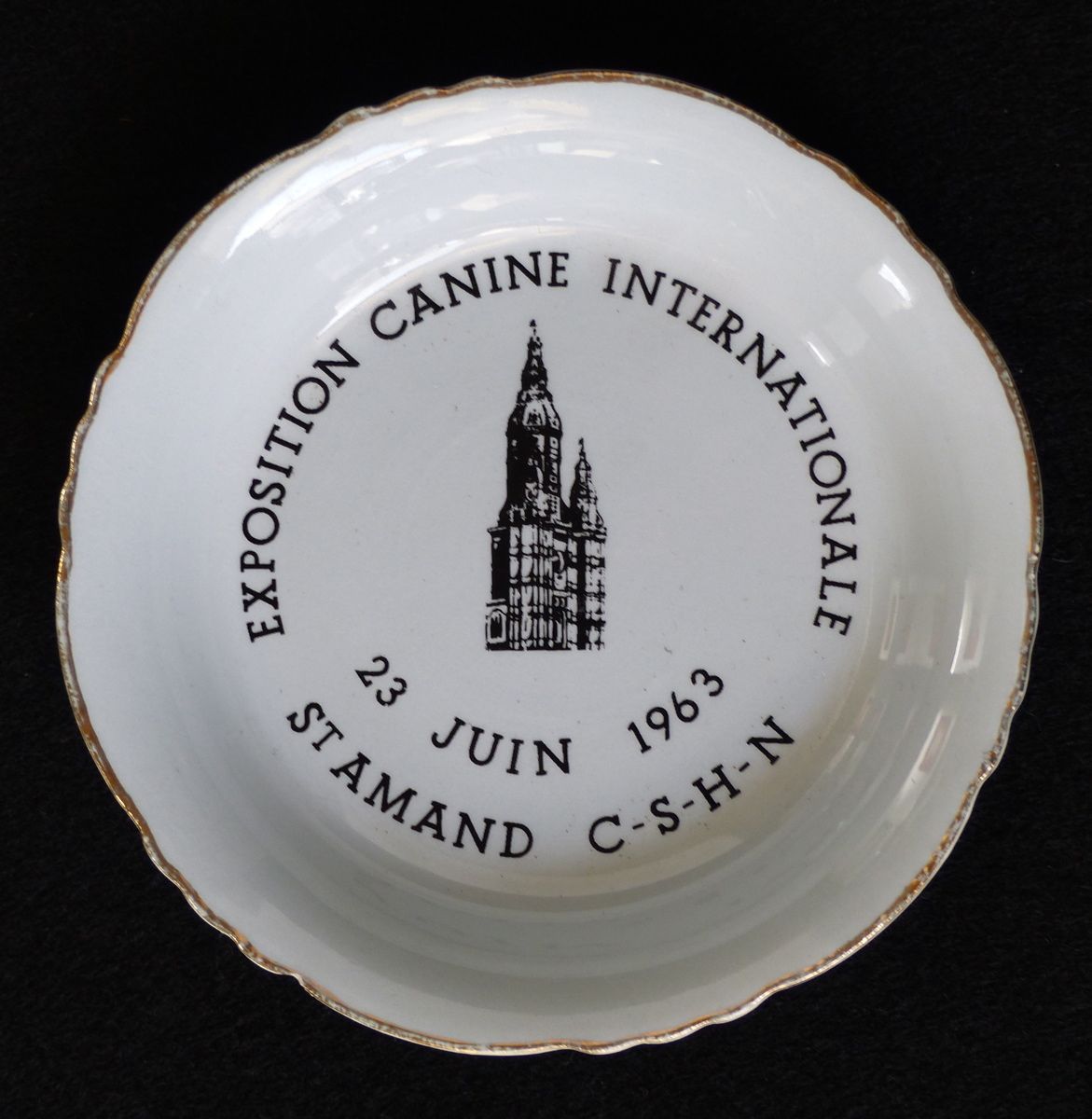 Exposition canine internationale