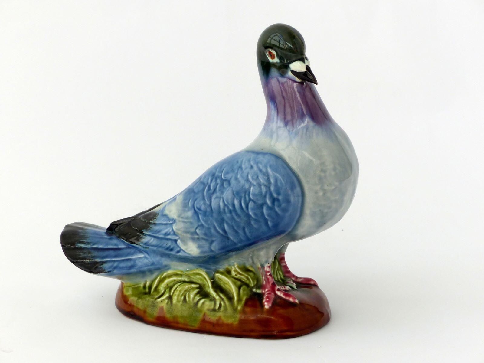 Pigeon