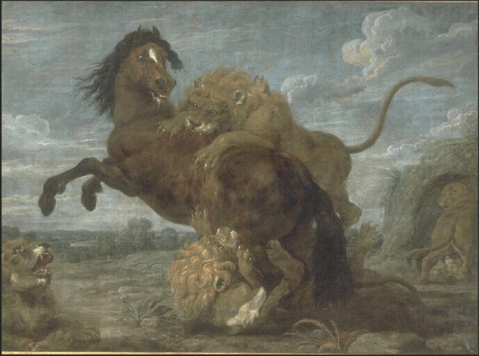 Cheval attaqué par des lions