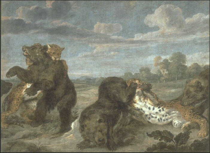 Combat d'ours et de léopards