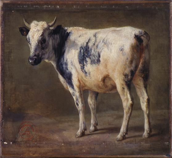 VACHE BRETONNE