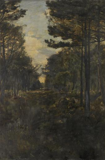 CHEMIN SOUS BOIS