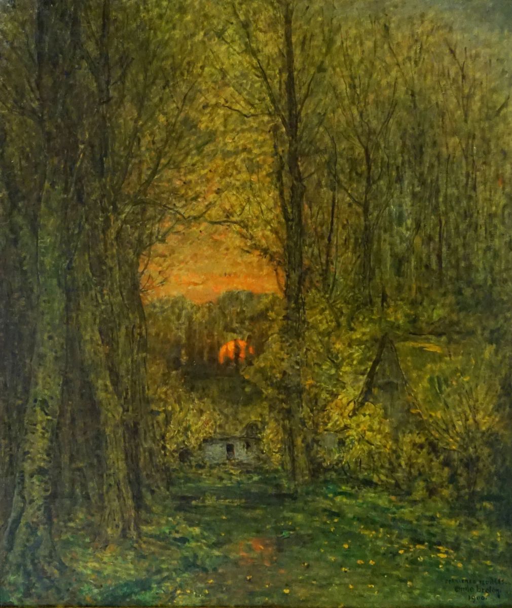 Dernières feuilles