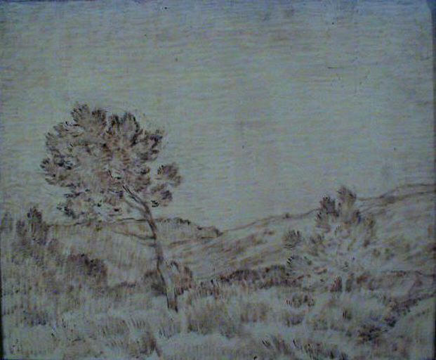 Forêt de Fontainebleau