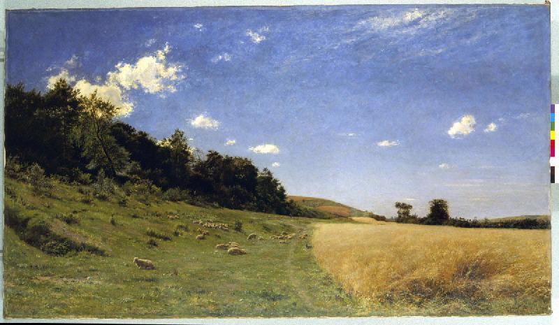 Lisière de bois aux environs d'Eu