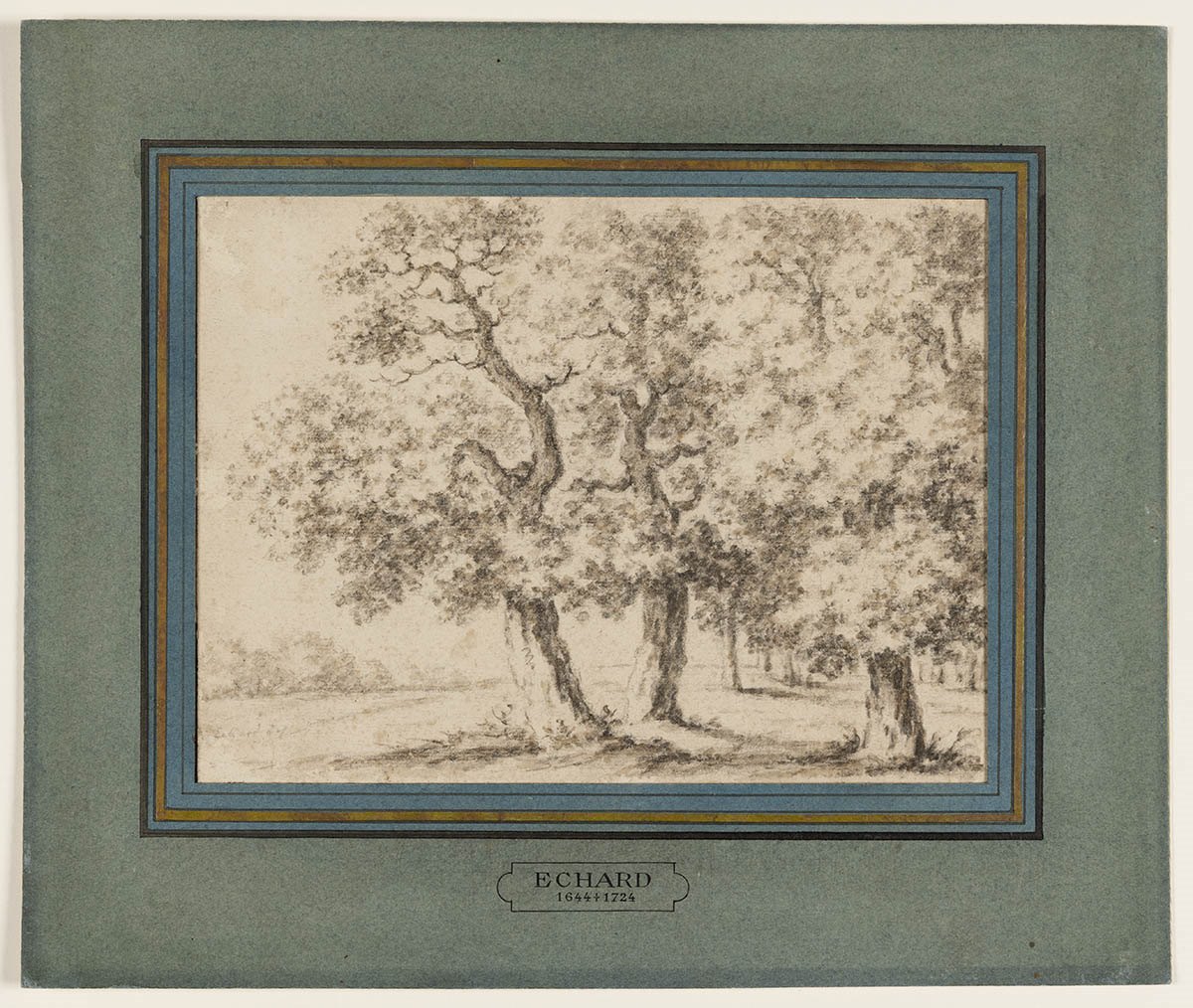 Trois arbres en lisière de forêt