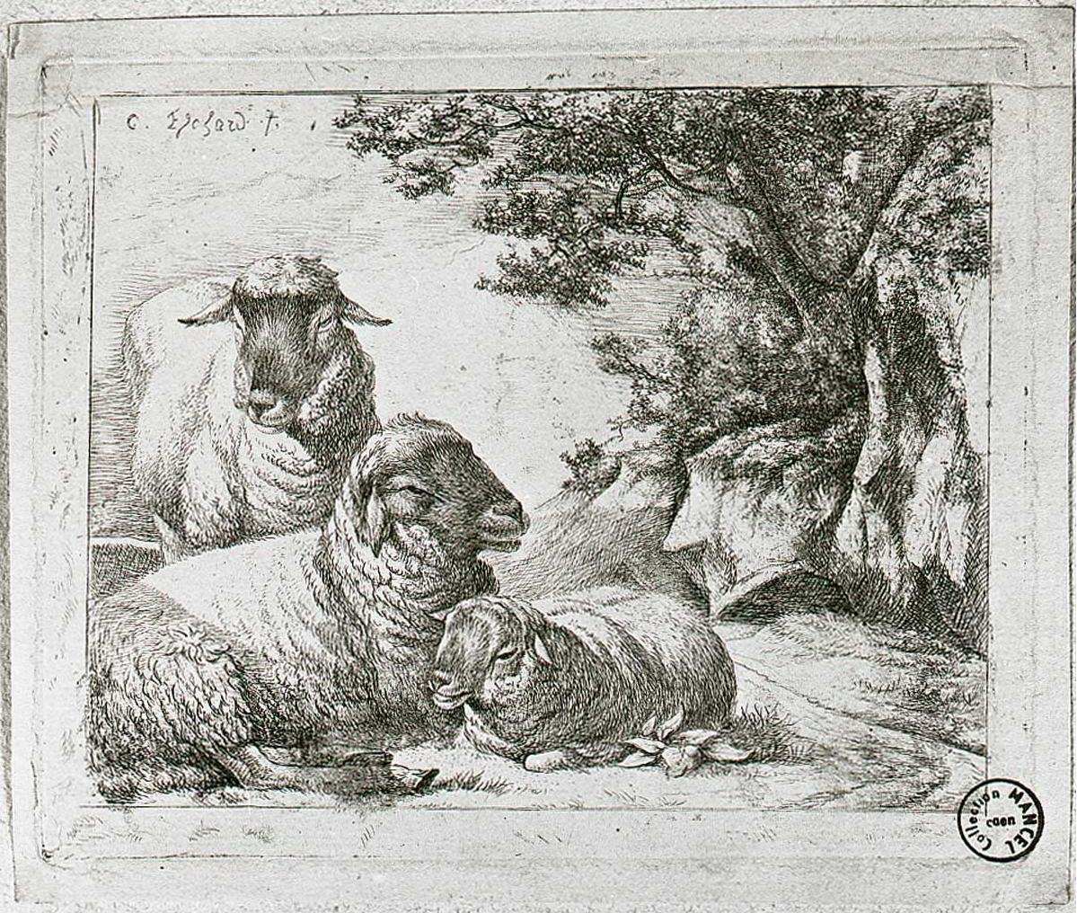 Trois moutons dans un paysage