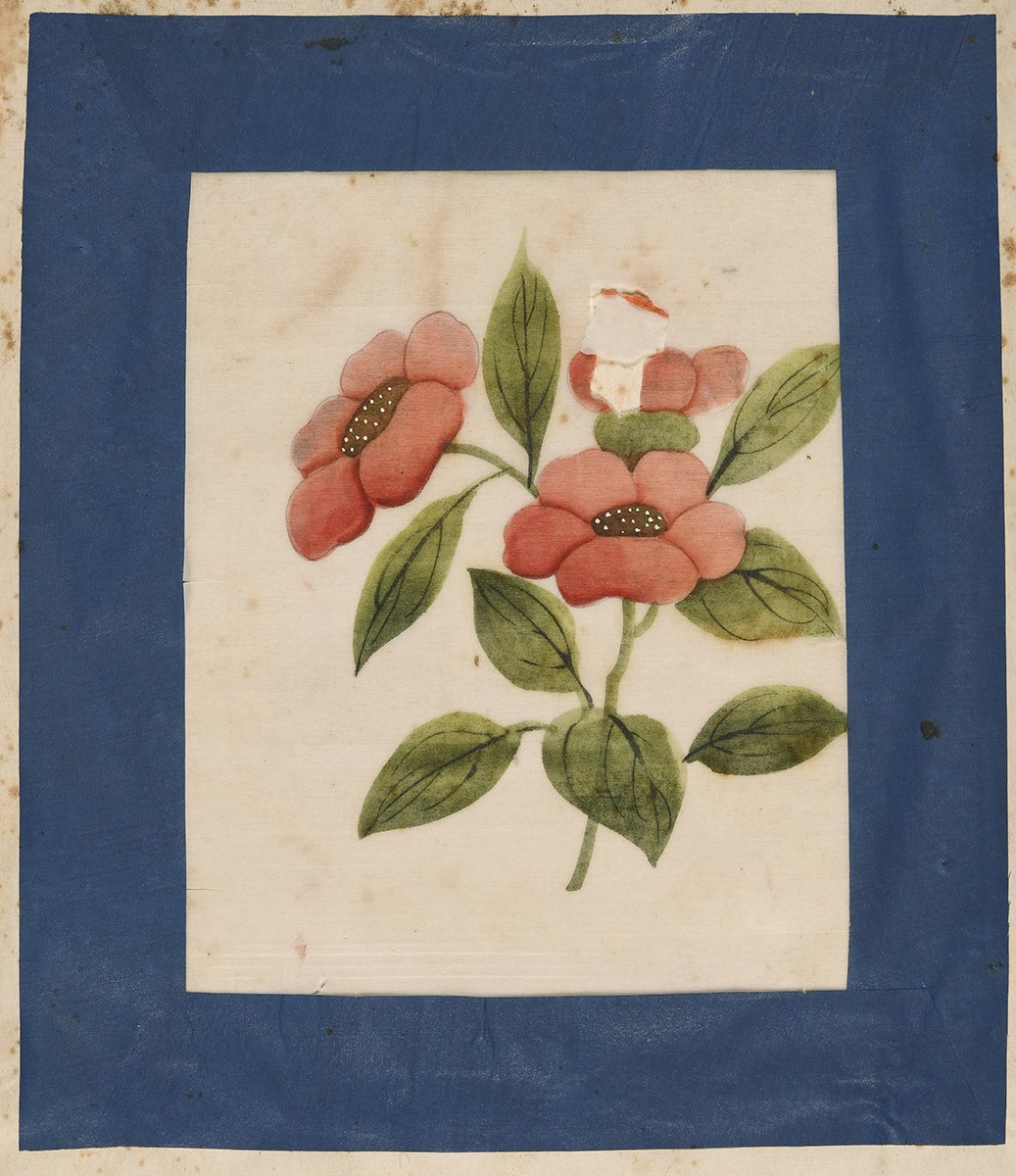 Fleurs