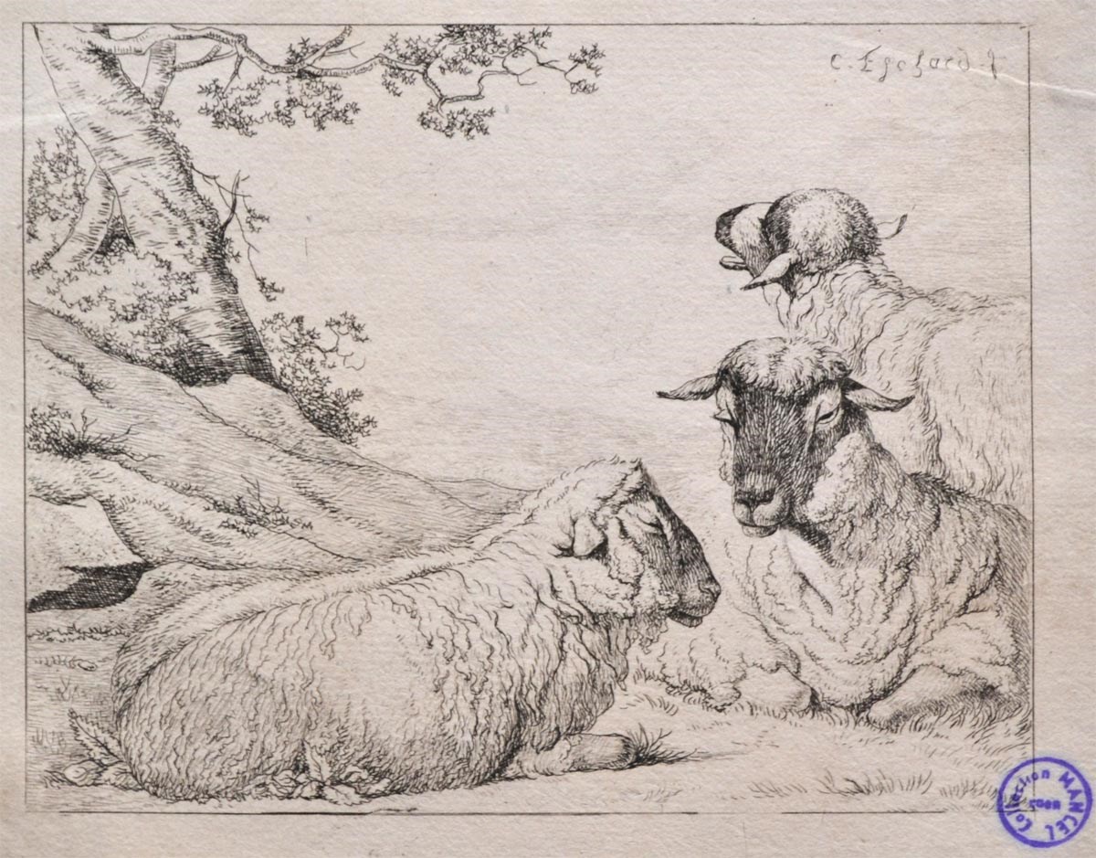 Trois moutons dans un paysage