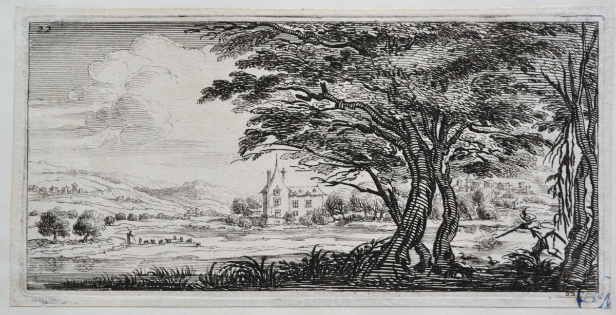 Chasse au canard dans un marécage