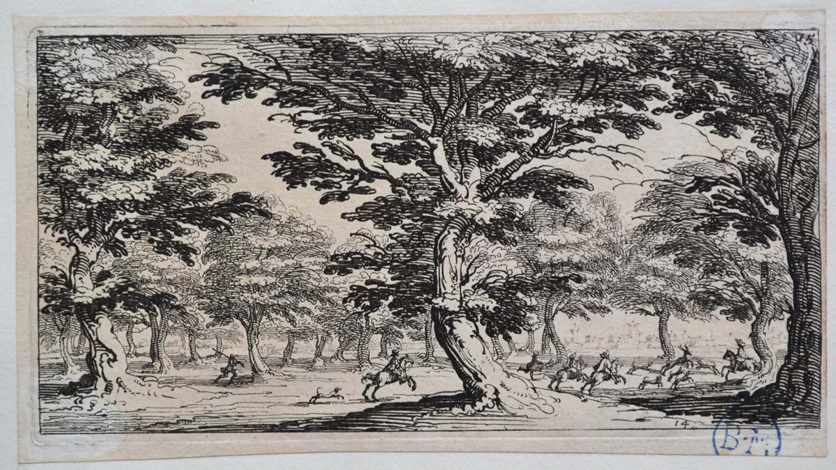 Chasse au cerf dans une forêt