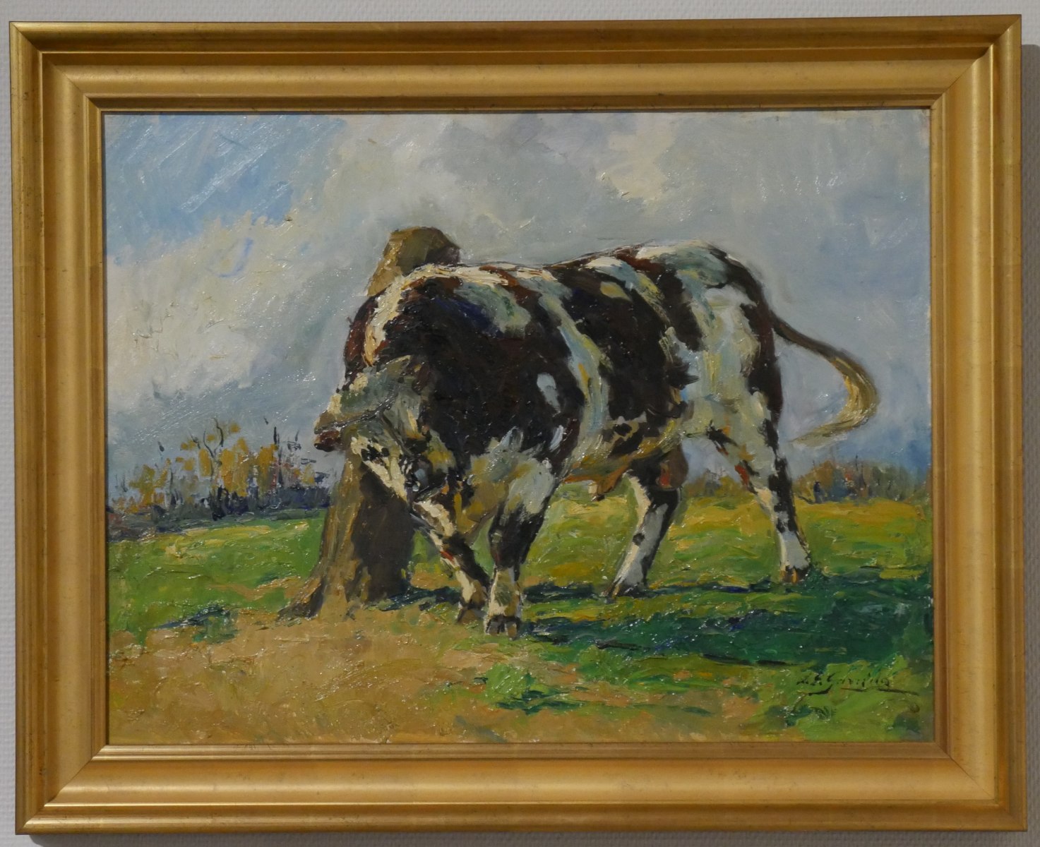 Taureau normand