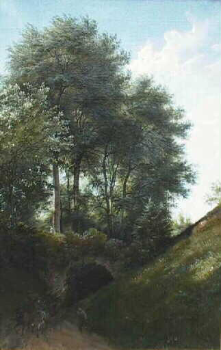 Etude de hêtres au printemps