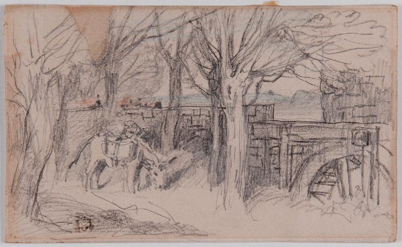 Ane près d'un moulin