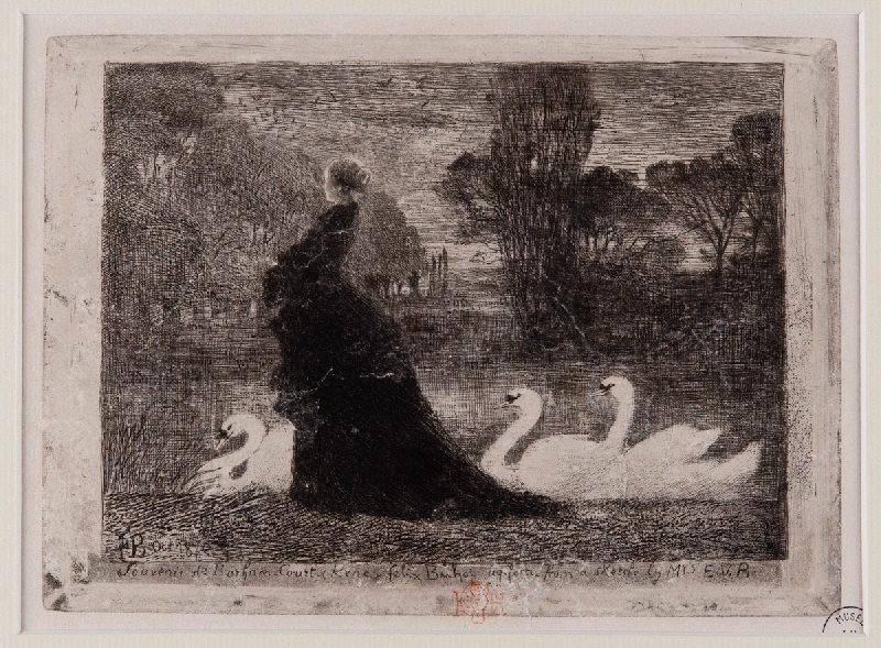 La dame aux cygnes