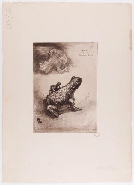 Japonisme : Crapaud bronze