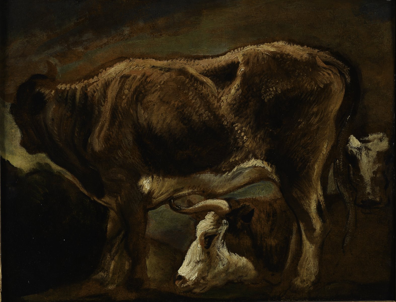 Etude de vaches