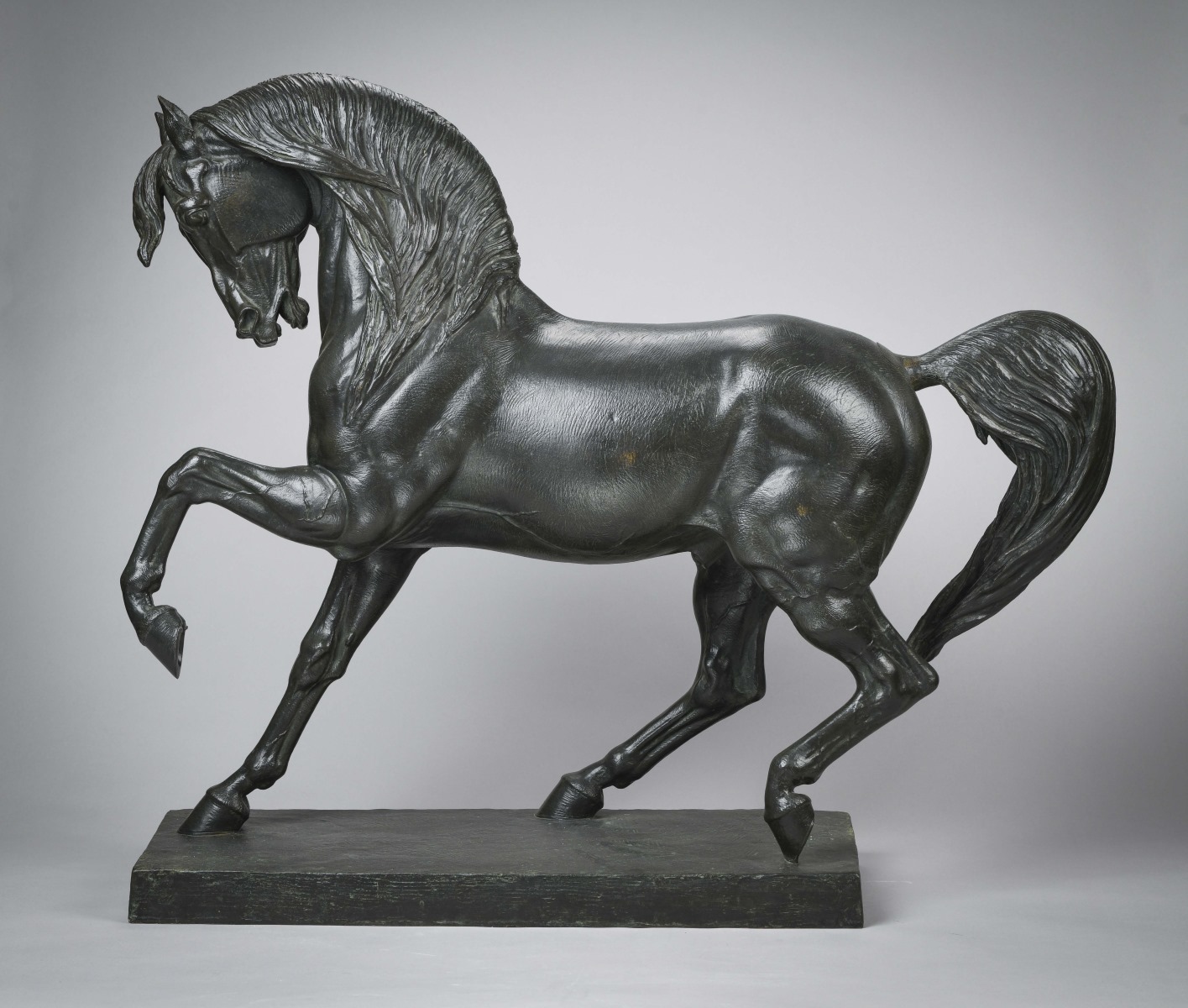 Etude de cheval